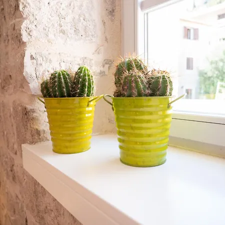 Casa vacanze Dolce *