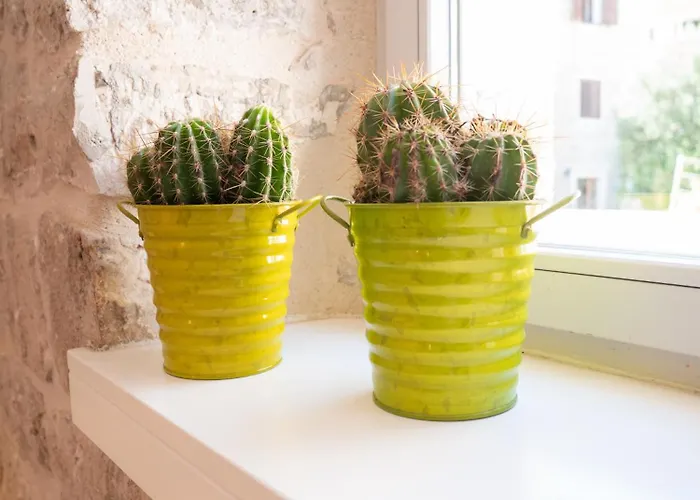 Casa vacanze Dolce *